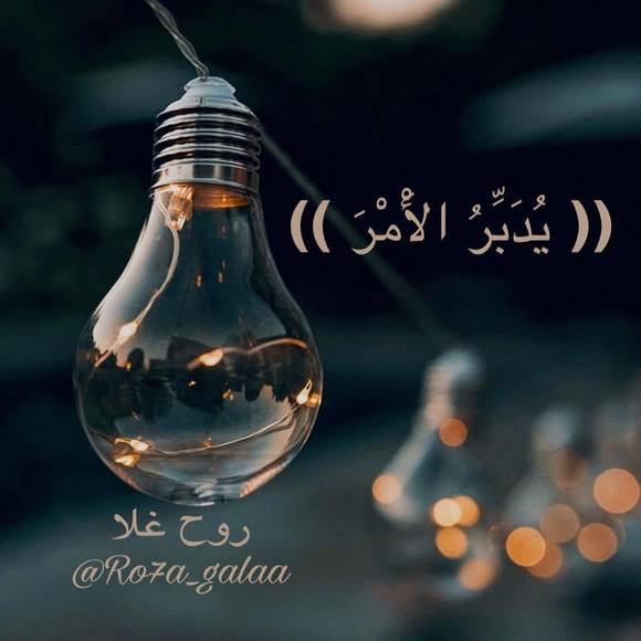 salmaxuseen09